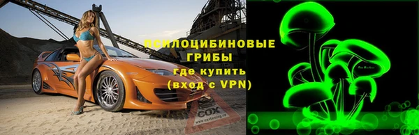 ALPHA PVP Гусь-Хрустальный