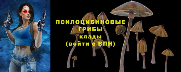 ALPHA PVP Гусь-Хрустальный