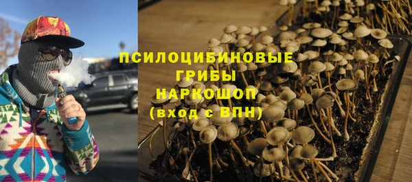 гидропоника Гусев