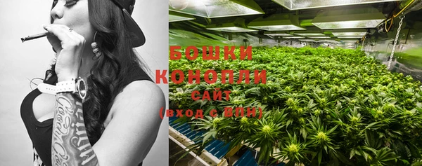 гидропоника Гусев