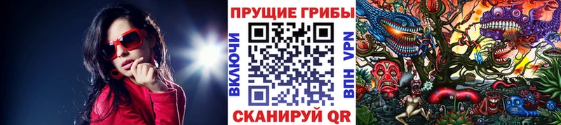 Псилоцибиновые грибы Cubensis Остров