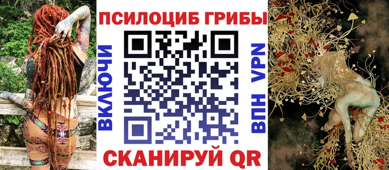 Купить где  Остров  Галлюциногенные грибы GOLDEN TEACHER 
